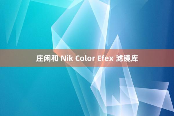 庄闲和 Nik Color Efex 滤镜库