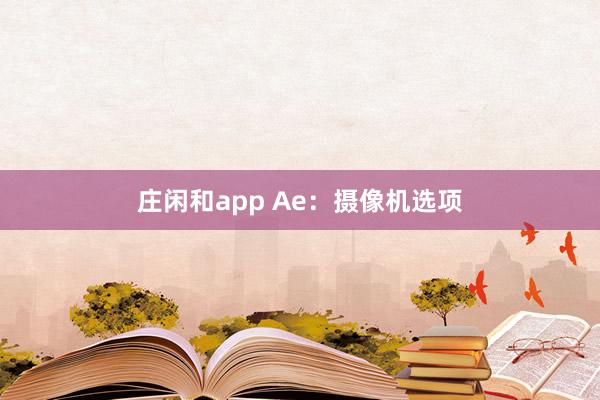庄闲和app Ae：摄像机选项