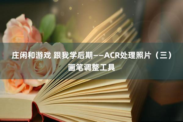 庄闲和游戏 跟我学后期——ACR处理照片（三）画笔调整工具