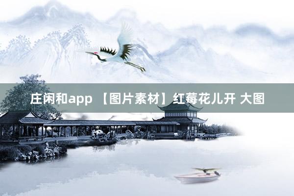 庄闲和app 【图片素材】红莓花儿开 大图