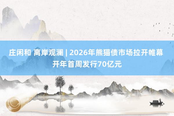 庄闲和 离岸观澜 | 2026年熊猫债市场拉开帷幕 开年首周发行70亿元