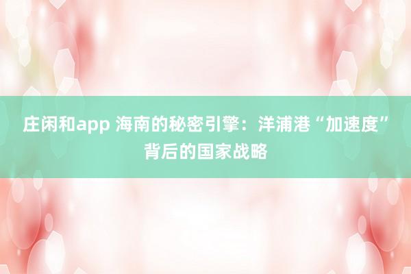 庄闲和app 海南的秘密引擎：洋浦港“加速度”背后的国家战略