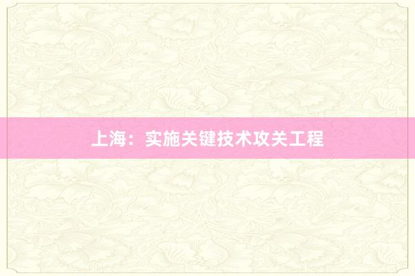 上海：实施关键技术攻关工程