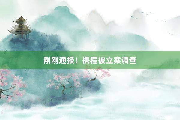 刚刚通报！携程被立案调查