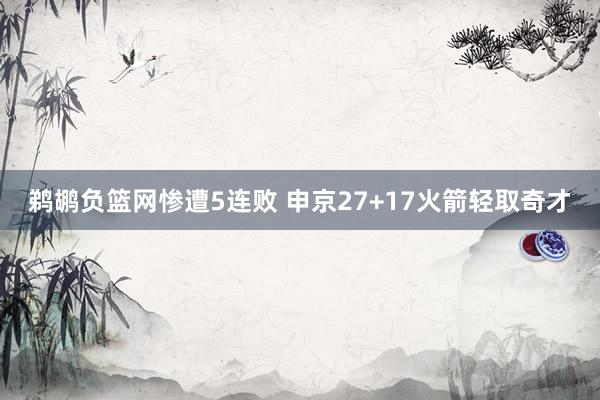 鹈鹕负篮网惨遭5连败 申京27+17火箭轻取奇才