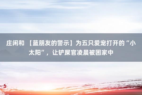 庄闲和 【蓝朋友的警示】为五只爱宠打开的“小太阳”,让铲屎官凌晨被困家中